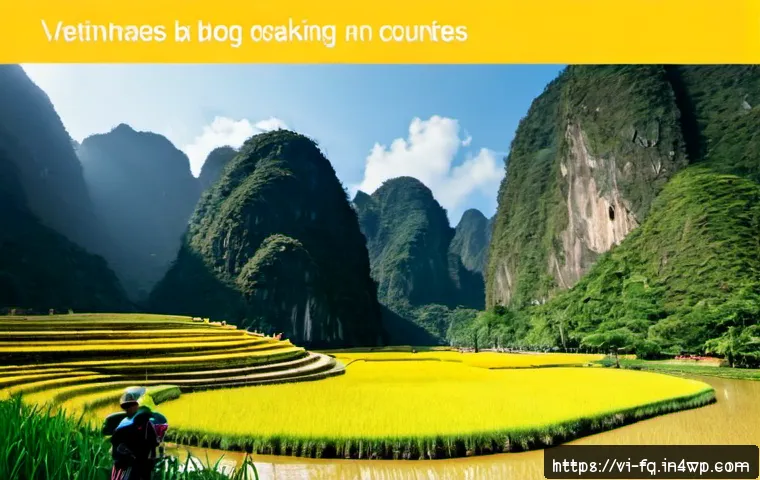 Chuyển đổi nghề nghiệp trong thời đại tự động hóa: chọn kỹ năng, lộ trình và chi phí đào tạo phù hợp 4 자동화 시대의 직업 전환과 변화관리 관련 이미지 2
